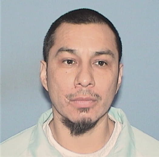 AYALA-GUZMAN, DAVID, IL