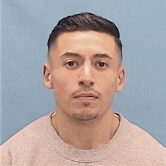 LEDESMA, VINCENT, IL