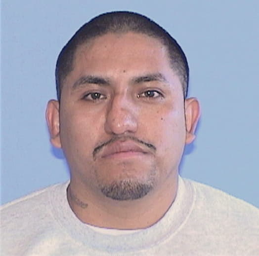 MANUEL-GUERRERO, JOSE, IL