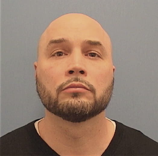 GANSBAUER, MICHAEL, IL