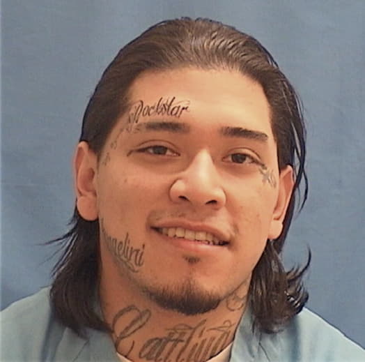 RAMIREZ, FERNANDO, IL