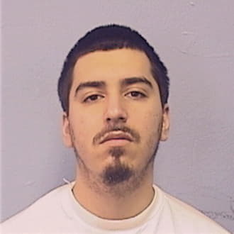 VERA-HERNANDEZ, MICHAEL, IL