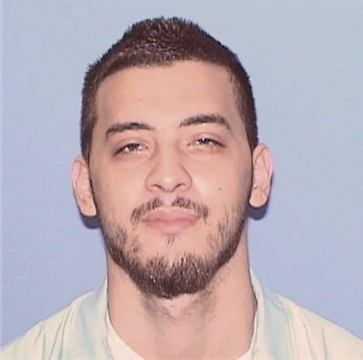 CASTANEDA, MICHAEL, IL