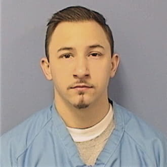 STIEGLER, DAKOTA J., IL