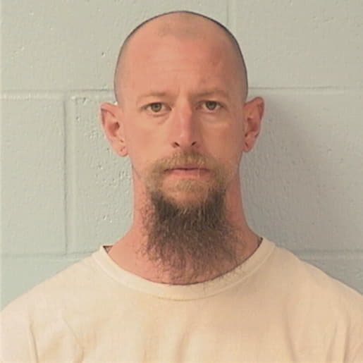 MERTZ, MICHAEL T., IL