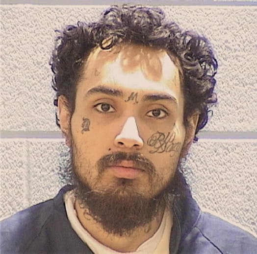 ACOSTA-CABALLER, RODRIGO, IL