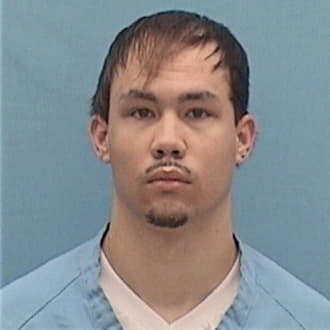 THOMPSON, DAKOTA L., IL