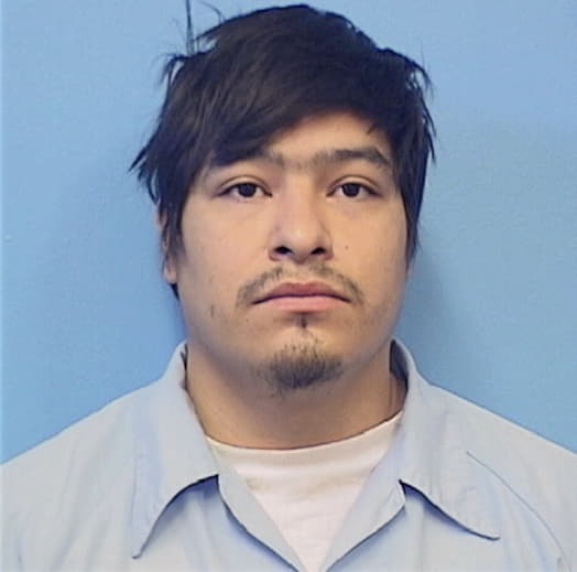 CHAGOYA-IBARRA, LUIS R., IL