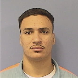 IBARRA-PENA, RAIMUNDO, IL