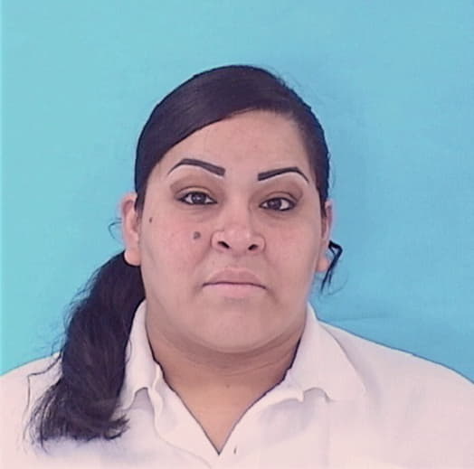 VILLASANA, LISA M., IL