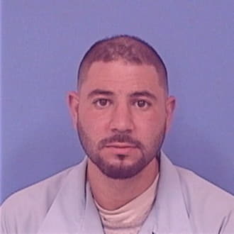 BRIGGS, MICHAEL L., IL