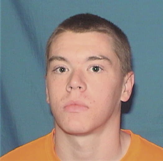 CARSON, WILLIAM J., IL