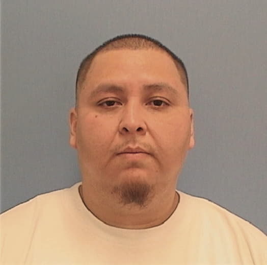 LIBERATO, ERASMO, IL