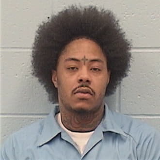 WILLIAMSON, BRANDON, IL