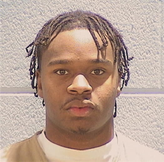 BIBBINS, ROMAINE, IL