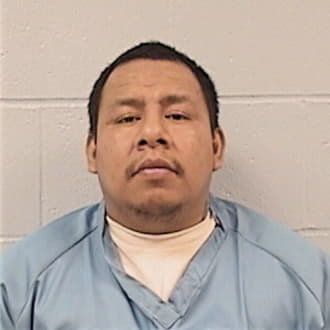 MEJIA-MAYA, BULMARO, IL