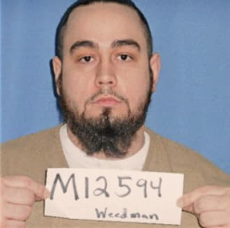 WEEDMAN, MICHAEL, IL