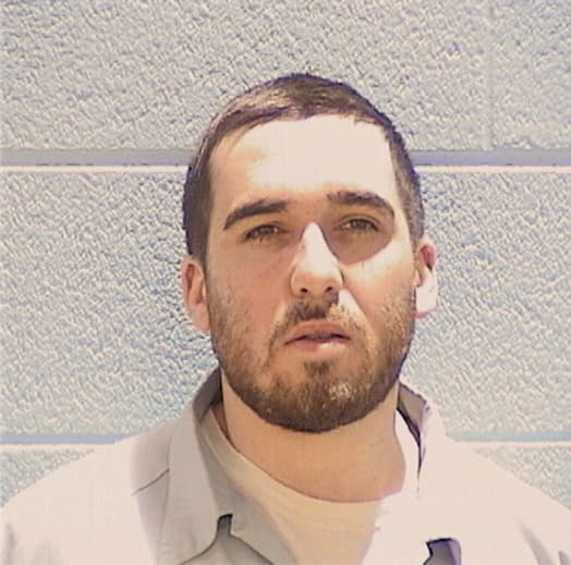 DENOYELLES, MICHAEL, IL