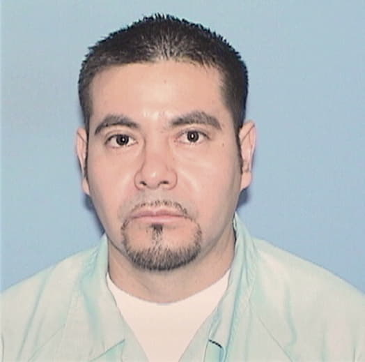 VANEGAS-SANCHEZ, JOEL, IL