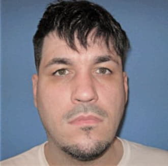 SCHMIDT, CHASEN L., IL