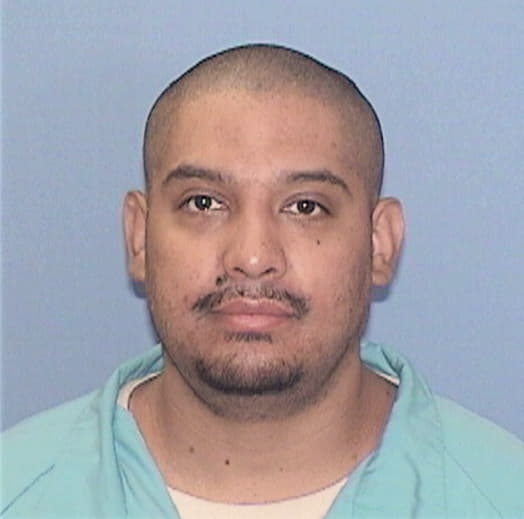 IBARRA, NESTOR A., IL