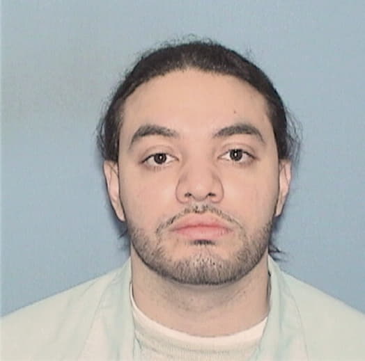 ALVARADO, FABIAN, IL