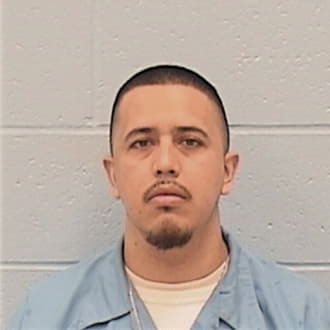 GALLEGOS-OCHOA, FERNANDO, IL