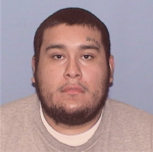 GALVAN, ANTHONEY E., IL