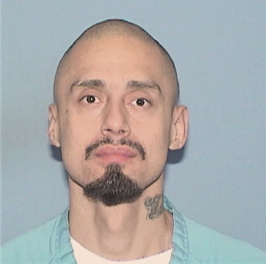 CASTILLO, ARNOLD, IL