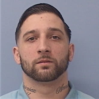 HEINBAUGH, DAVIS J., IL