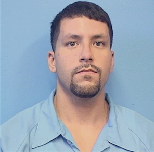 SCHMITT, JAMES L., IL