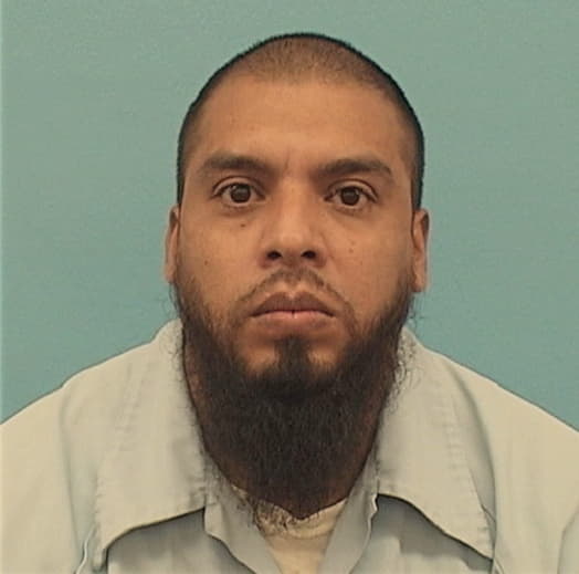 HERNANDEZ MARTINEZ, FERNAN, IL