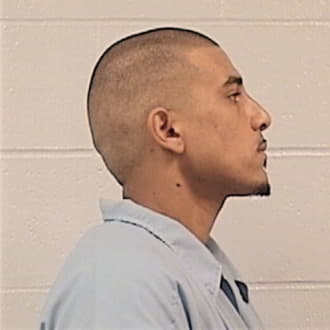DIAZ, MELVIN, Cook County  IL