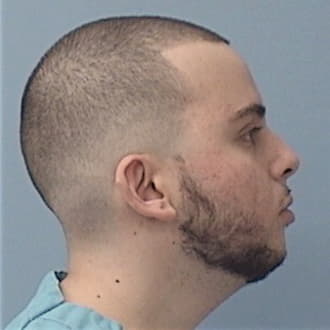 POLICHEMI, DOMINICK, Cook County  IL