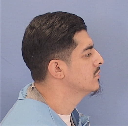 MARTINEZ, MIGUEL A., Cook County  IL