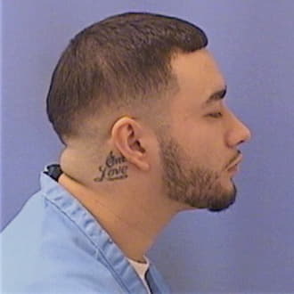 PALOMAR, LUIS, Kane County  IL