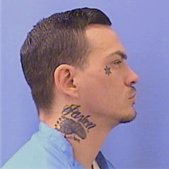 MESSENGER, JOSHUA E., Whiteside County  IL