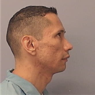 DIAZ, JOHN E., DuPage County  IL