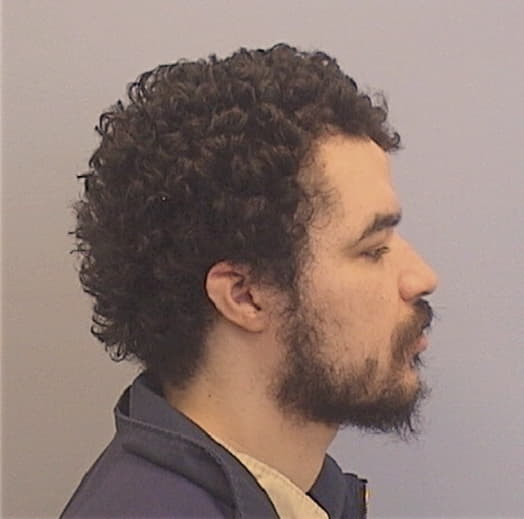 SMITH, DOMINIQUE D., Champaign County  IL