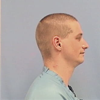 HIBBS, LESTER A., Sangamon County  IL