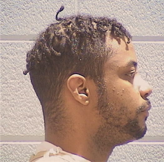 NEWTON, CHRISTOPHER E., Sangamon County  IL