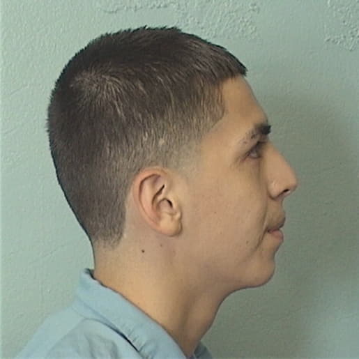 HERNANDEZ, JONATHAN, Kane County  IL