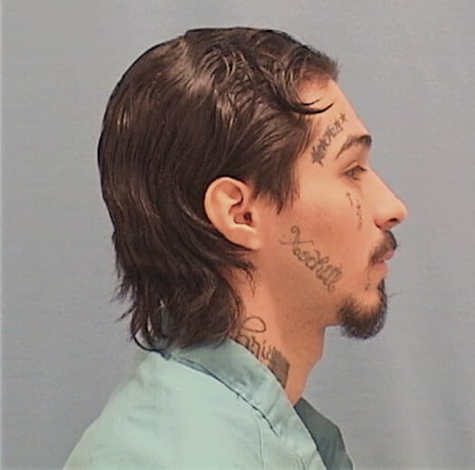 GARZA, CHRISTOPHER, Cook County  IL