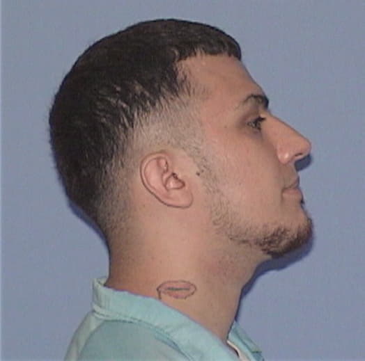 NEMETH, ANTHONY, Cook County  IL