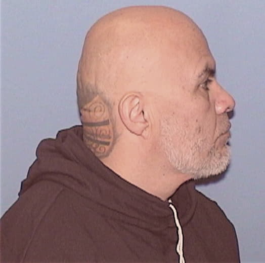 MIRELES, ARISTEO, Will County  IL