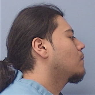 HERNANDEZ, MICHAEL, Cook County  IL