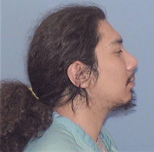 MASCOTE, JOSE L., Will County  IL