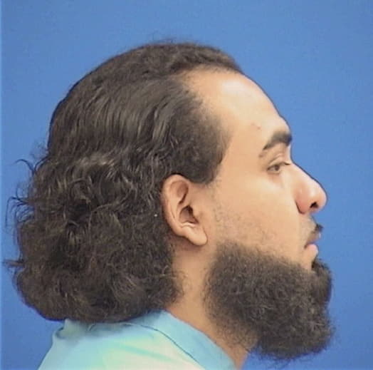 TERAN-PEREZ, PEDRO, Kane County  IL