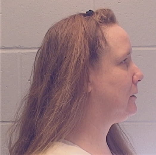 HAMILTON, PATRICIA R., Livingston County  IL
