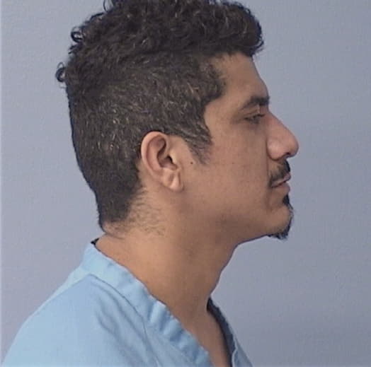 PENA, JESUS JR, Macon County  IL